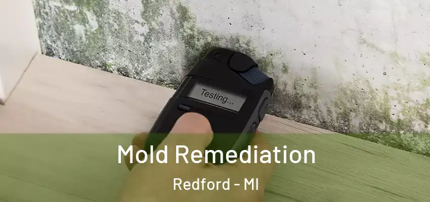  Mold Remediation Redford - MI