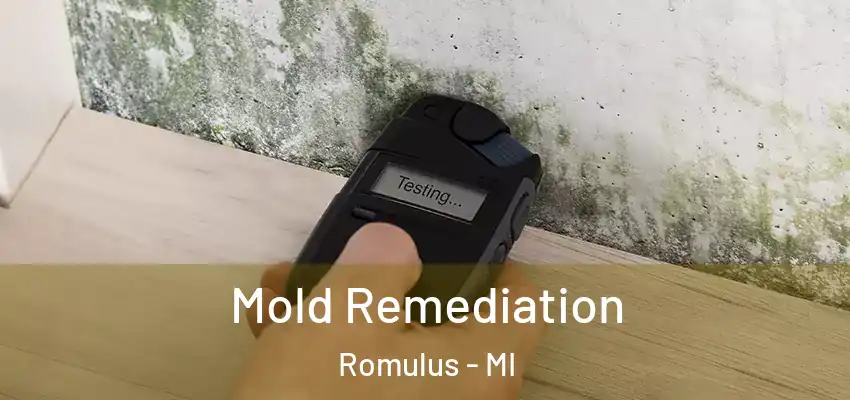  Mold Remediation Romulus - MI