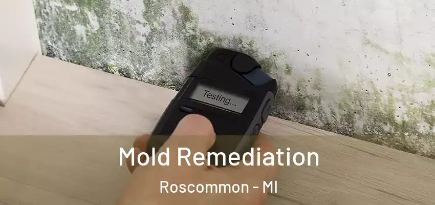  Mold Remediation Roscommon - MI