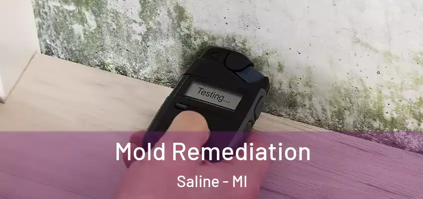  Mold Remediation Saline - MI