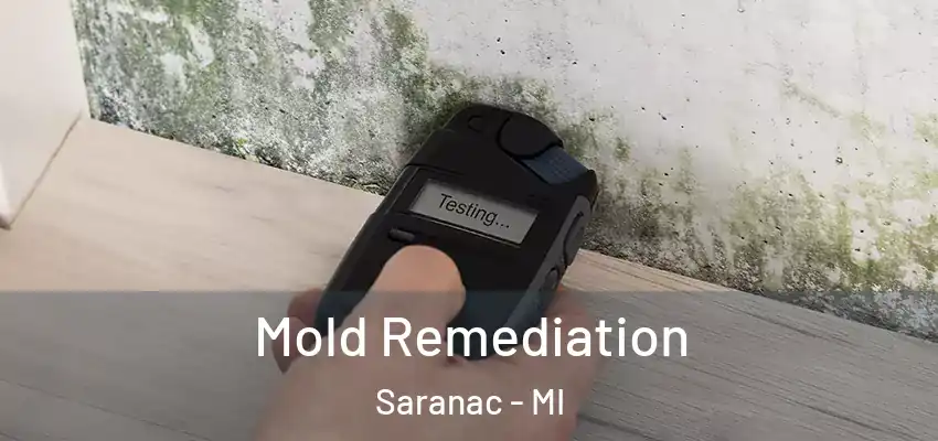  Mold Remediation Saranac - MI