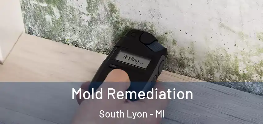  Mold Remediation South Lyon - MI