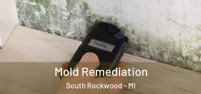  Mold Remediation South Rockwood - MI
