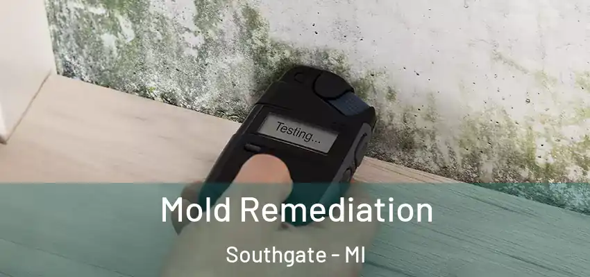  Mold Remediation Southgate - MI