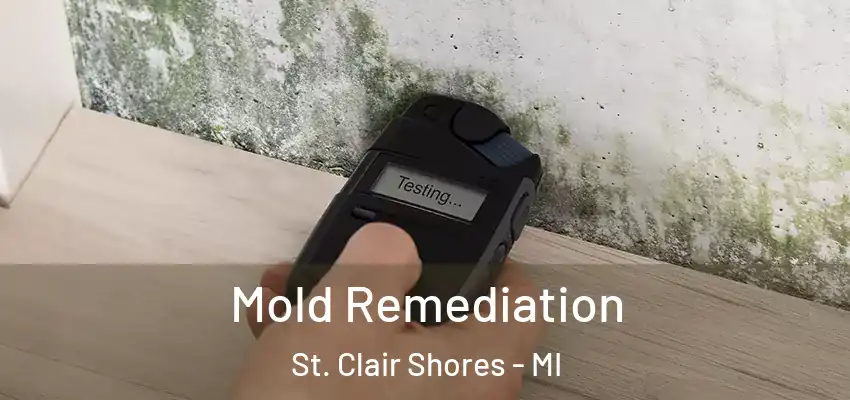  Mold Remediation St. Clair Shores - MI