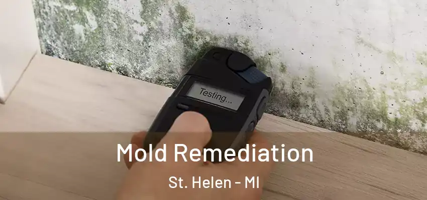  Mold Remediation St. Helen - MI