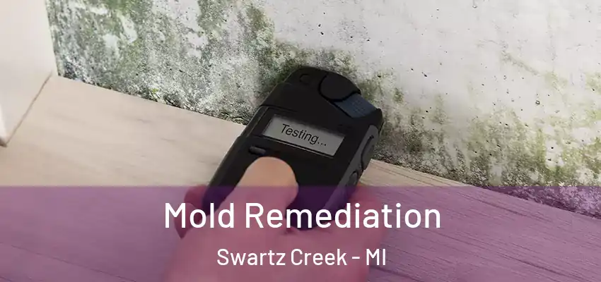  Mold Remediation Swartz Creek - MI