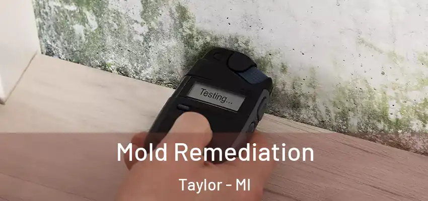  Mold Remediation Taylor - MI