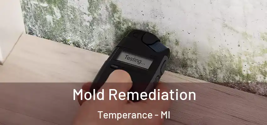  Mold Remediation Temperance - MI