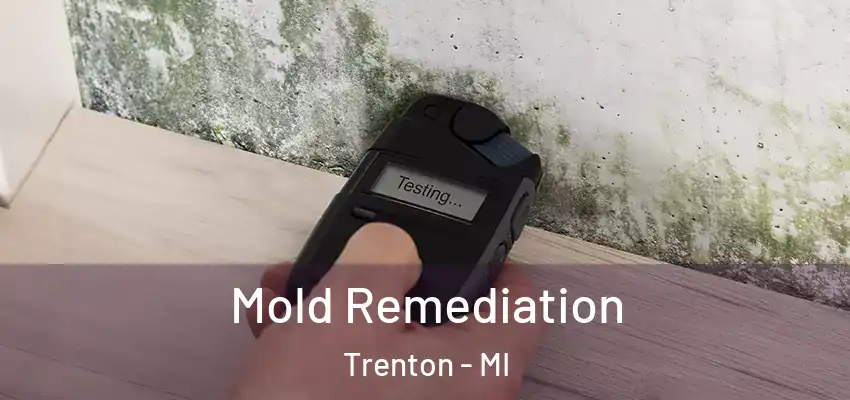 Mold Remediation Trenton - MI