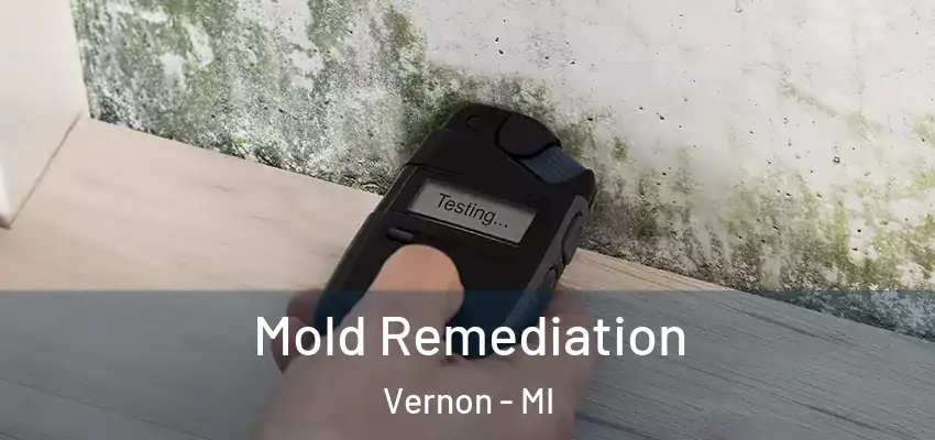  Mold Remediation Vernon - MI
