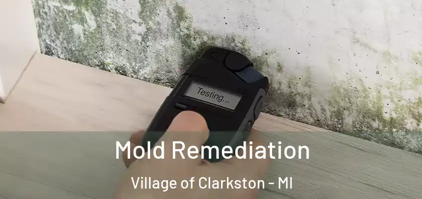  Mold Remediation Village of Clarkston - MI
