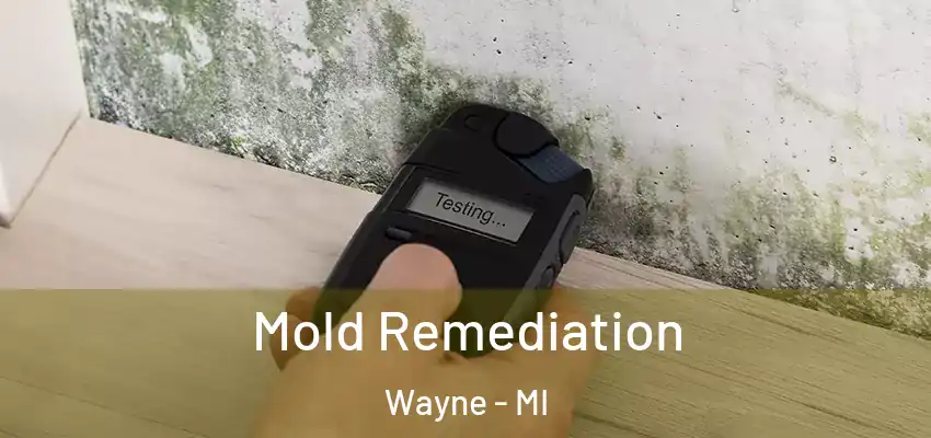 Mold Remediation Wayne - MI