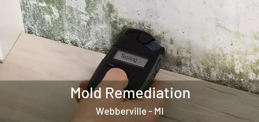  Mold Remediation Webberville - MI