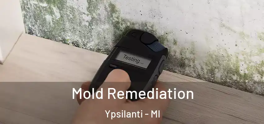 Mold Remediation Ypsilanti - MI