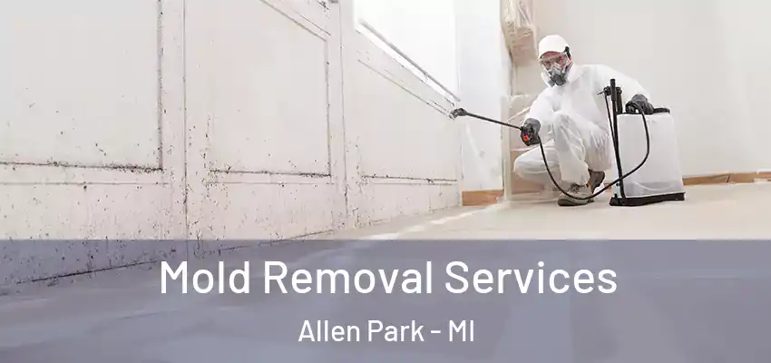  Mold Removal Services Allen Park - MI