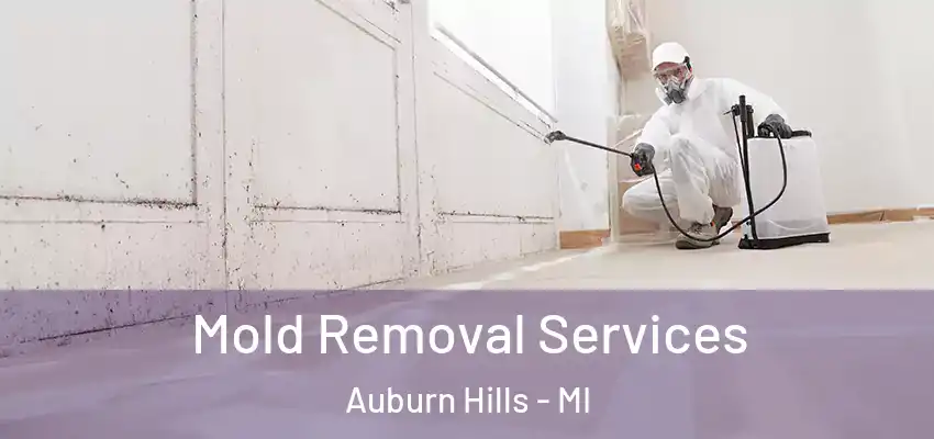  Mold Removal Services Auburn Hills - MI