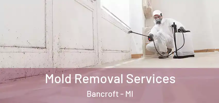  Mold Removal Services Bancroft - MI