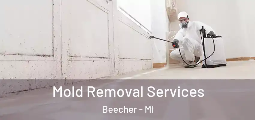  Mold Removal Services Beecher - MI