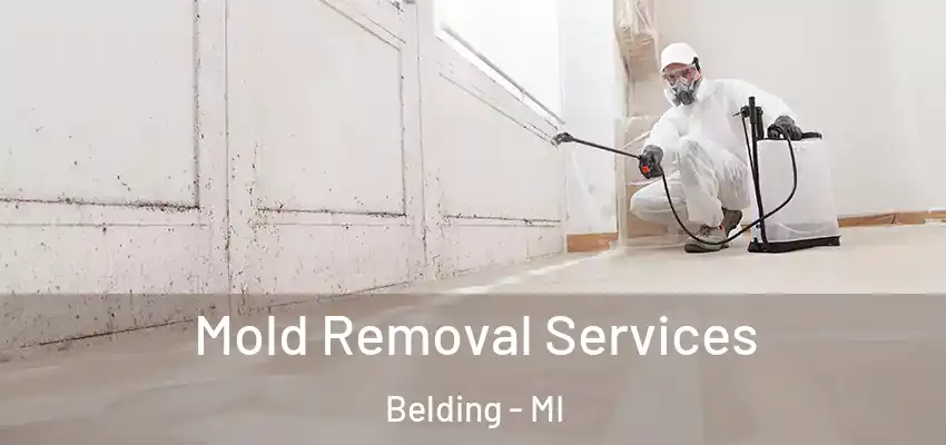  Mold Removal Services Belding - MI