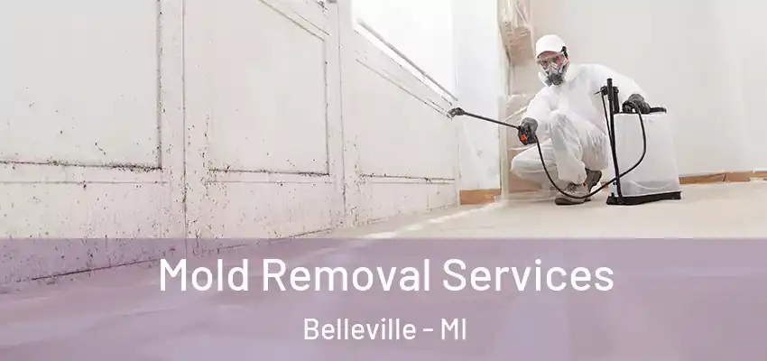  Mold Removal Services Belleville - MI
