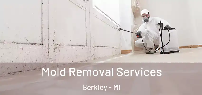  Mold Removal Services Berkley - MI