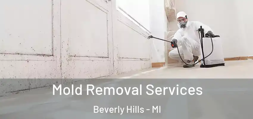  Mold Removal Services Beverly Hills - MI