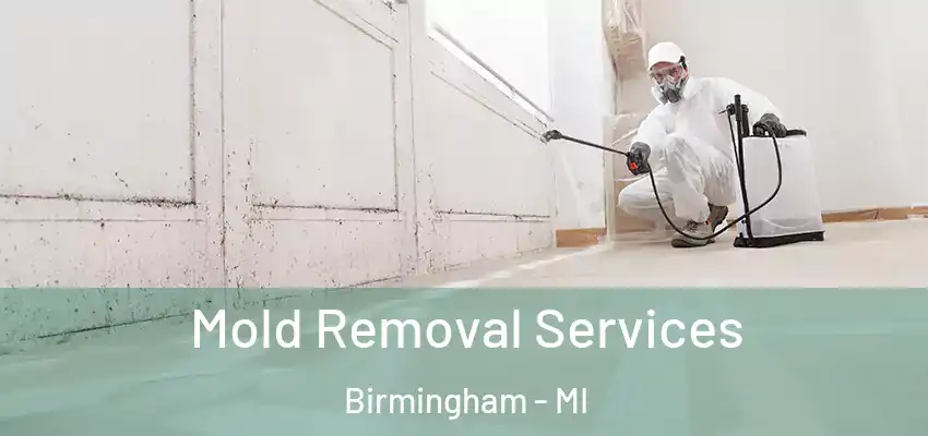  Mold Removal Services Birmingham - MI