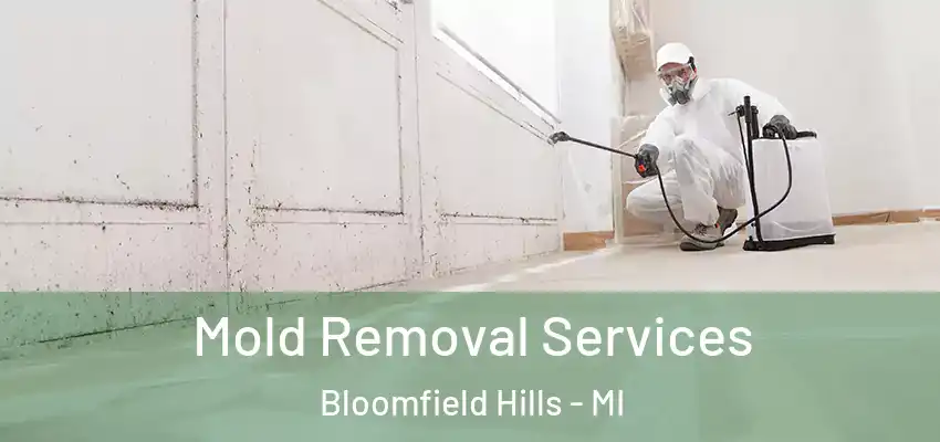 Mold Removal Services Bloomfield Hills - MI