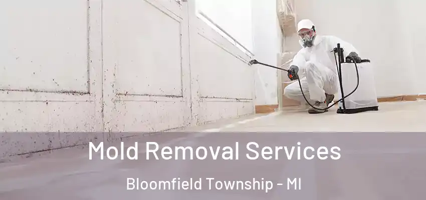  Mold Removal Services Bloomfield Township - MI