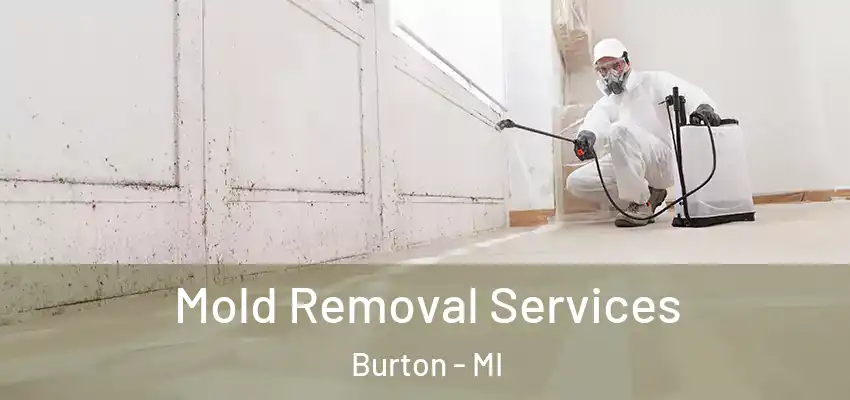  Mold Removal Services Burton - MI