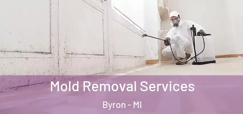  Mold Removal Services Byron - MI