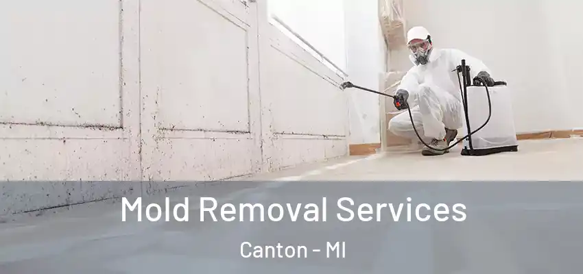  Mold Removal Services Canton - MI