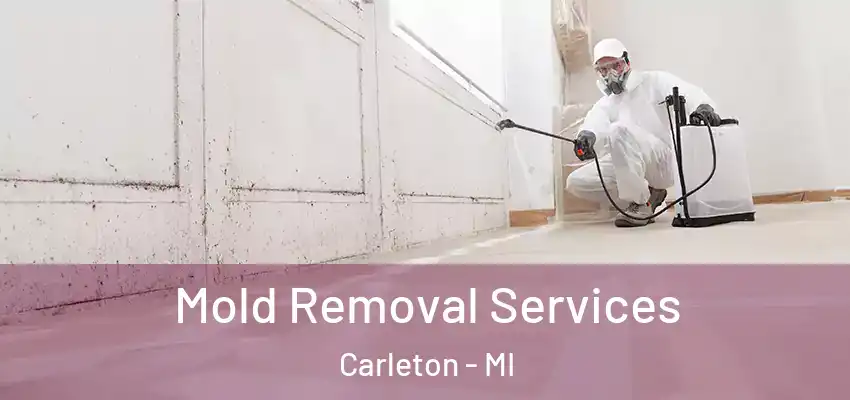  Mold Removal Services Carleton - MI