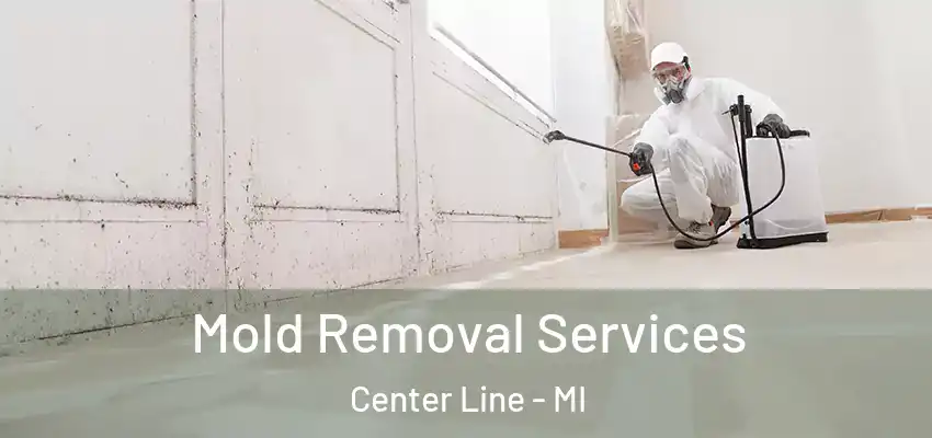 Mold Removal Services Center Line - MI