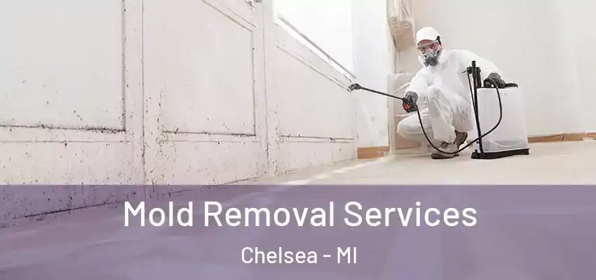  Mold Removal Services Chelsea - MI