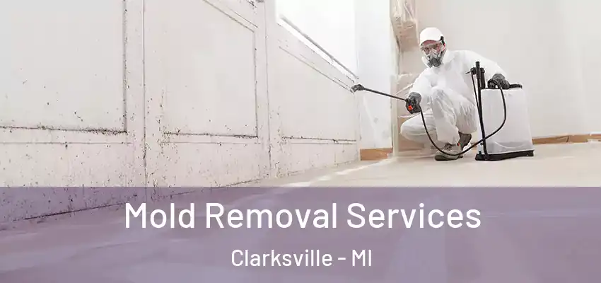  Mold Removal Services Clarksville - MI