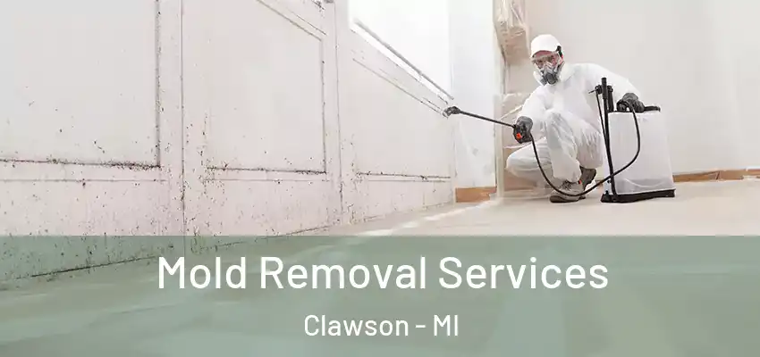  Mold Removal Services Clawson - MI