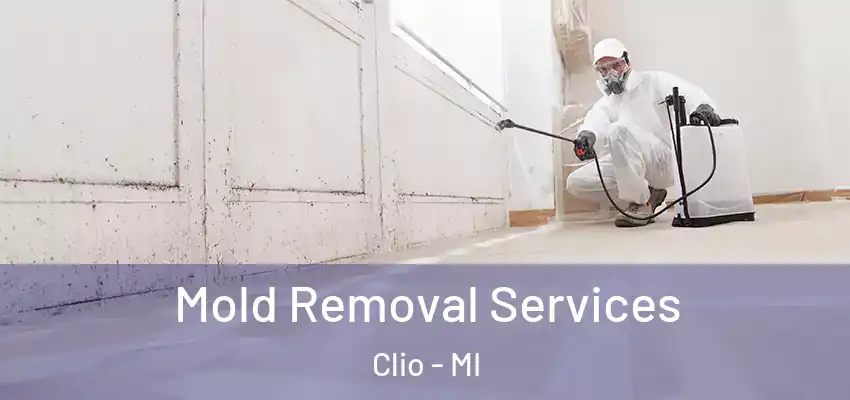  Mold Removal Services Clio - MI