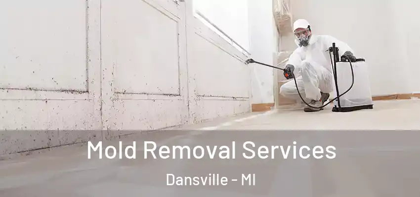  Mold Removal Services Dansville - MI