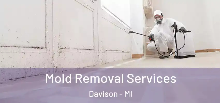  Mold Removal Services Davison - MI