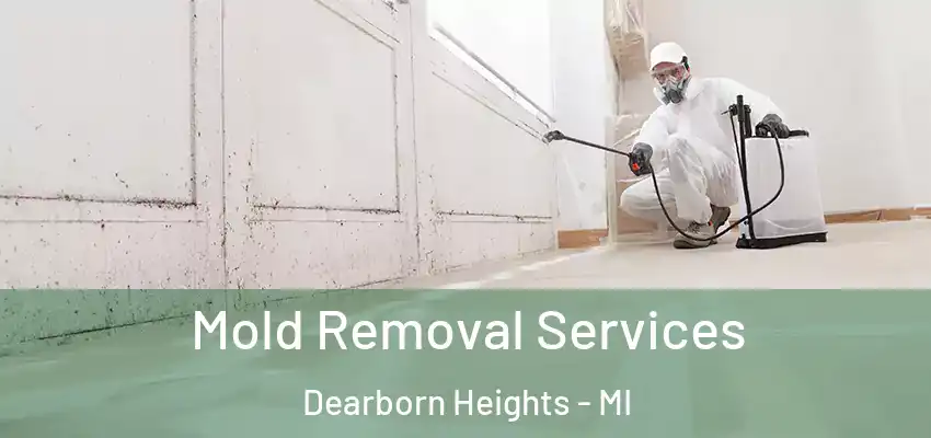  Mold Removal Services Dearborn Heights - MI