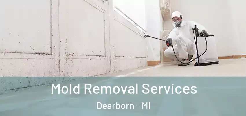  Mold Removal Services Dearborn - MI