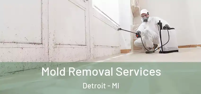  Mold Removal Services Detroit - MI