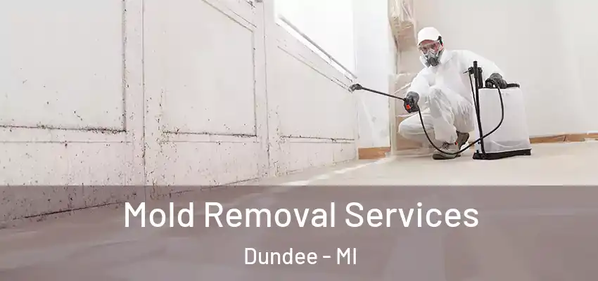  Mold Removal Services Dundee - MI
