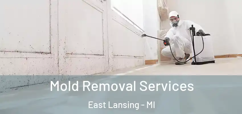  Mold Removal Services East Lansing - MI