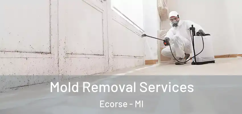  Mold Removal Services Ecorse - MI
