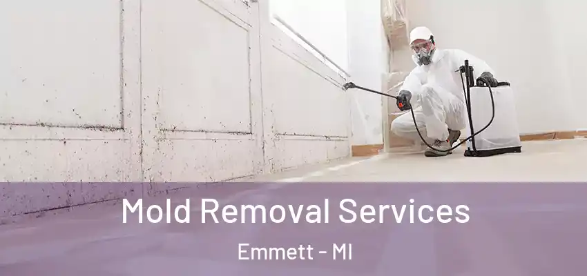  Mold Removal Services Emmett - MI