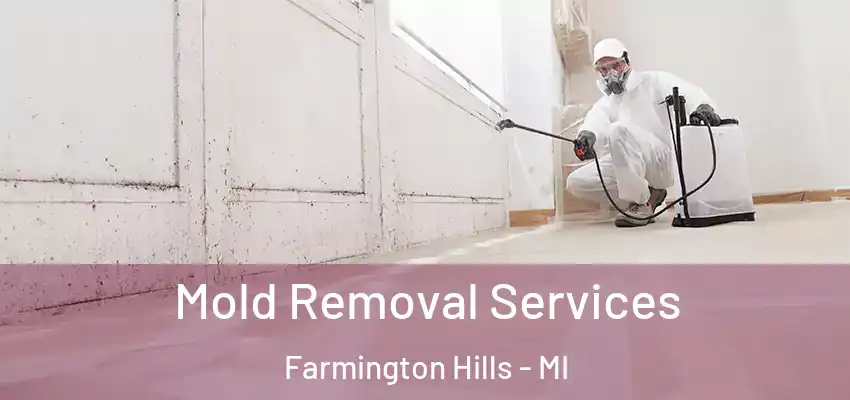  Mold Removal Services Farmington Hills - MI