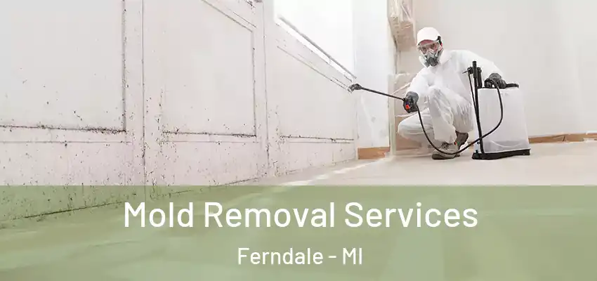  Mold Removal Services Ferndale - MI